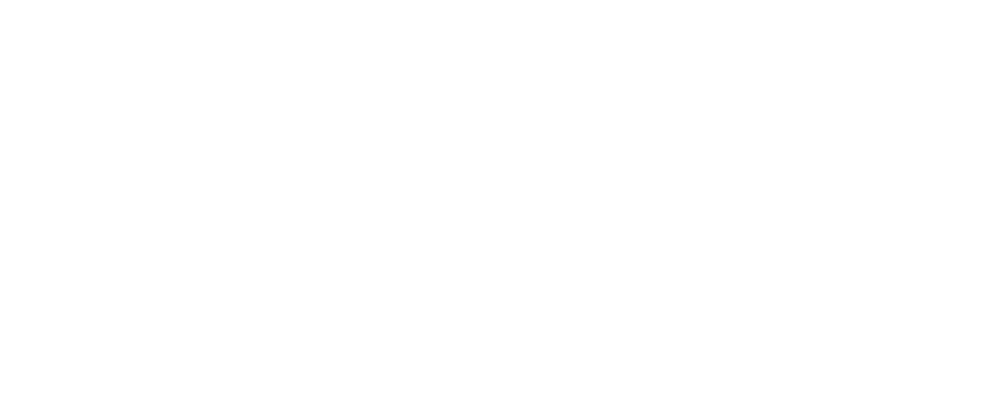 Tribeca Festival